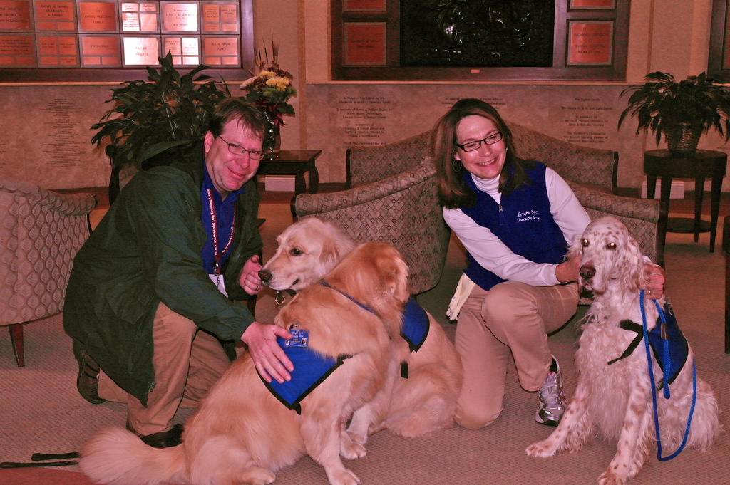 Bright Spot Therapy Dogs to make TV appearance... Ch.22 Mass Appeal