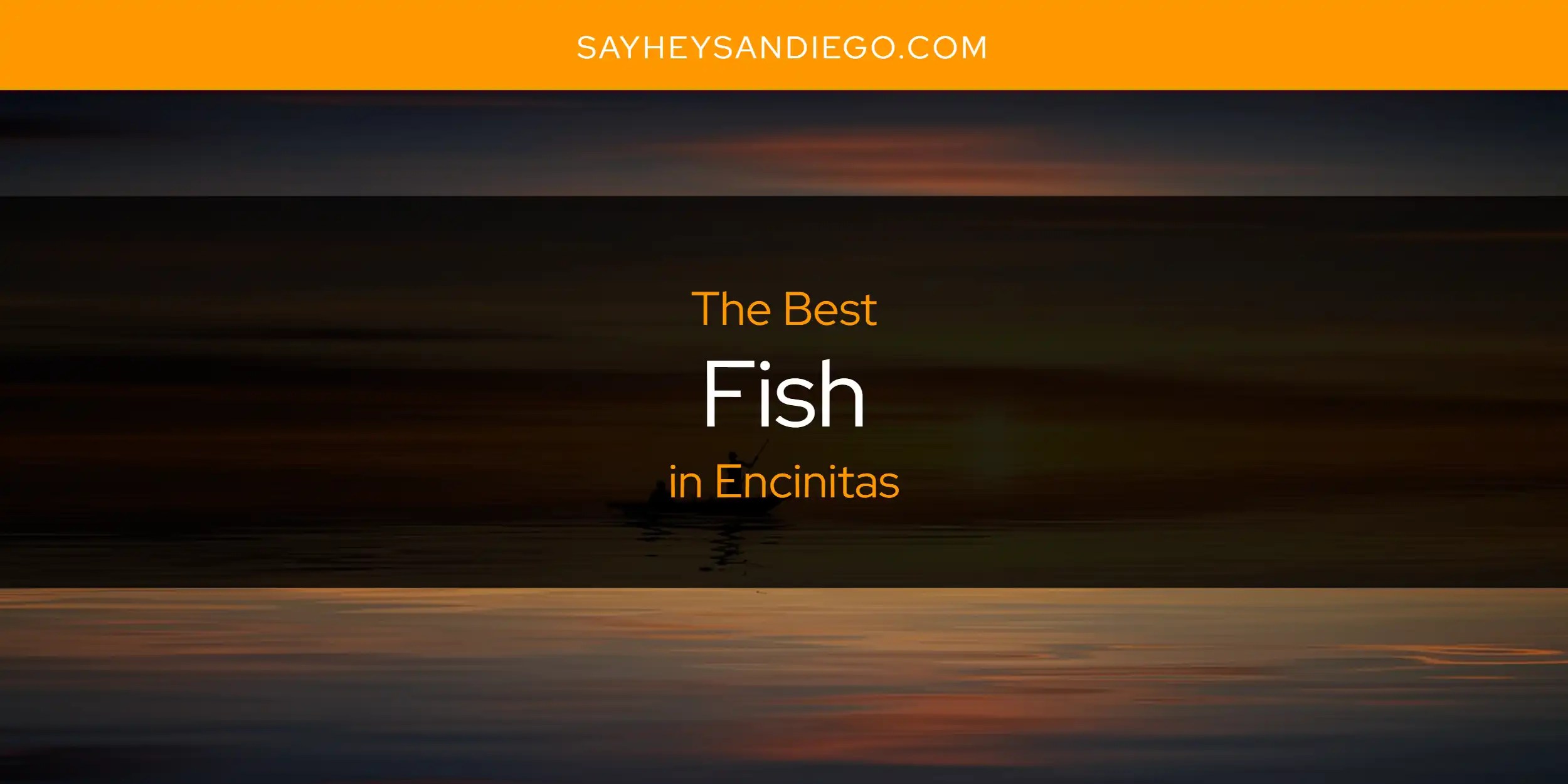 The Absolute Best Fish in Encinitas [Updated 2024] SayHeySanDiego