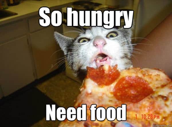 30 Hungry Memes You'll Find Too Familiar - SayingImages.com