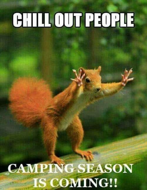 25 Best Camping Memes That Will Laugh Your Head Off