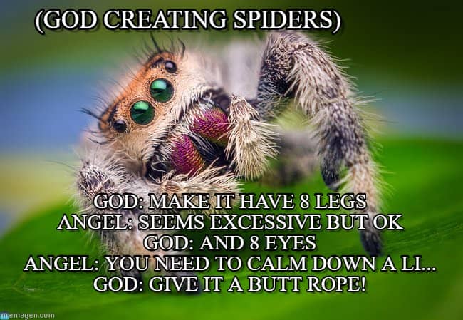 15 Adorable Spider Memes That Will Make Us Laugh The Fear Away