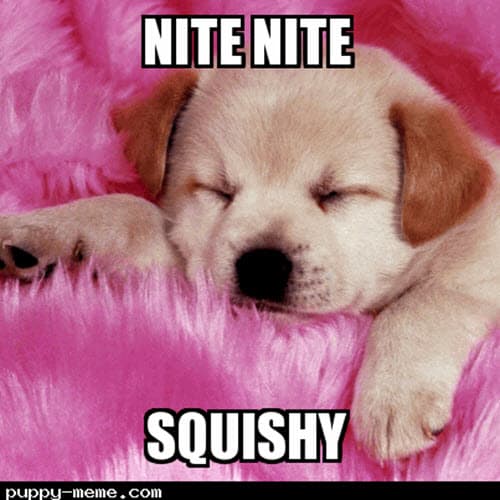 50 Cutest Goodnight Memes