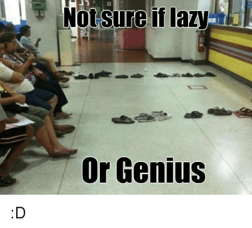 24 Lazy Memes That'll Make Your Day So Much Better