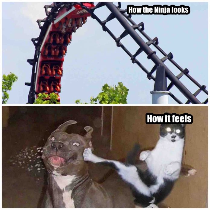 27 Thrilling Roller Coaster Memes You Will Enjoy With Friends