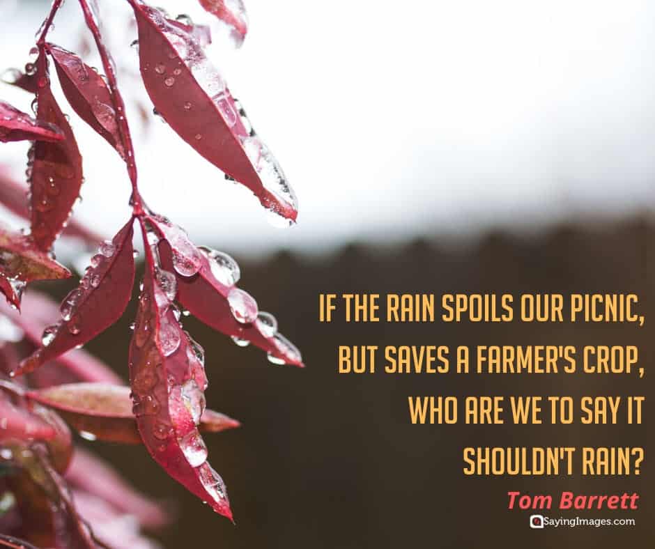 22 Regen Zitate, die Sie mit Inspiration zu duschen Ottima