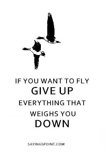 short quotes about flying 75 Best Flying Quotes And Sayings Sayings Point