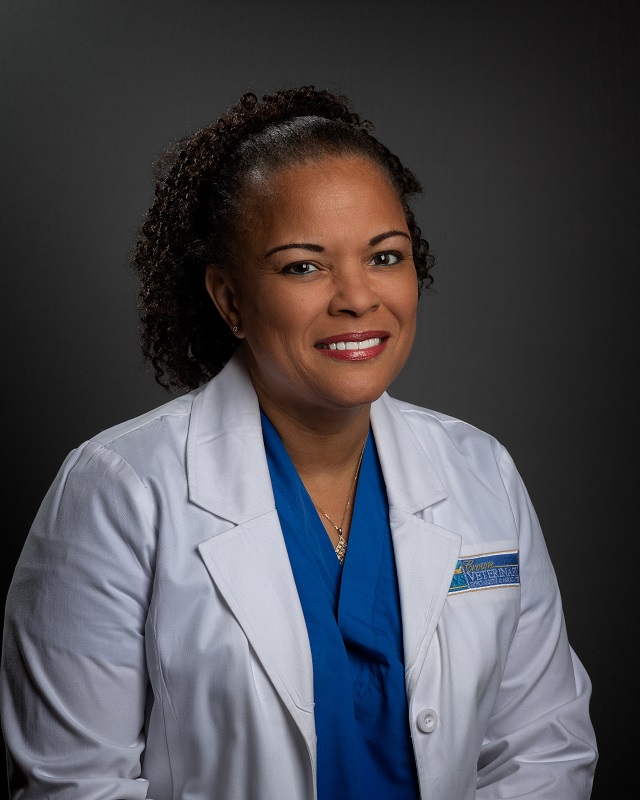 Pet Orthopedics Sayrebrook Veterinary Hospital Sayreville, New Jersey