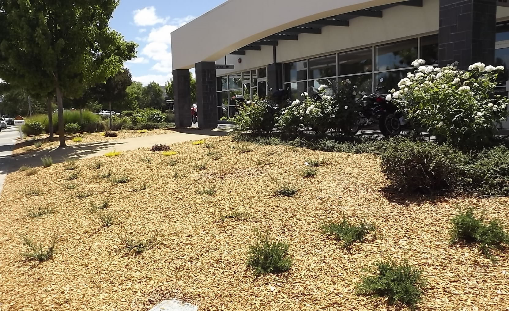 Sayre Landscaping We create beauty in every landscape!