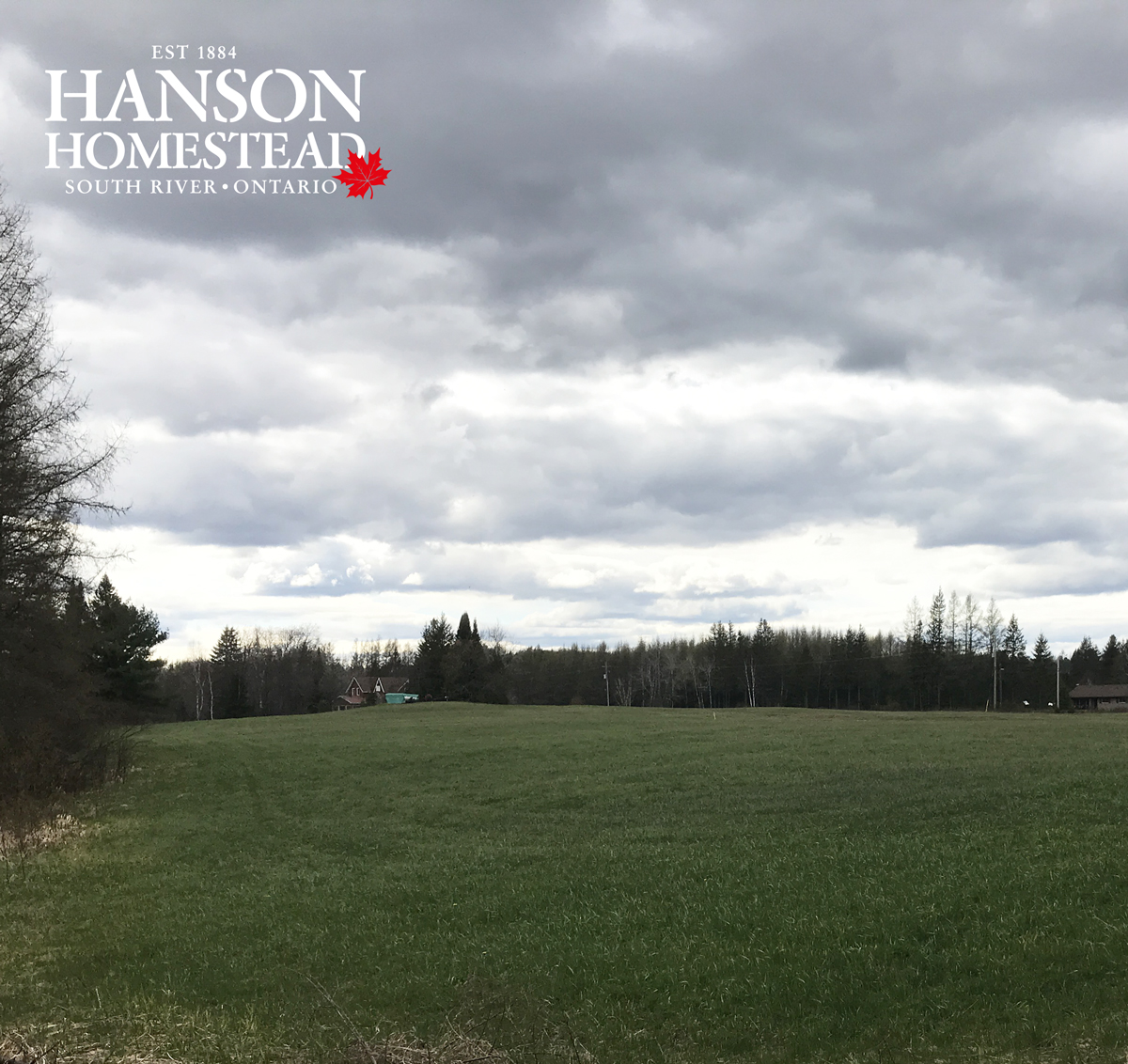 hanson homestead Say What