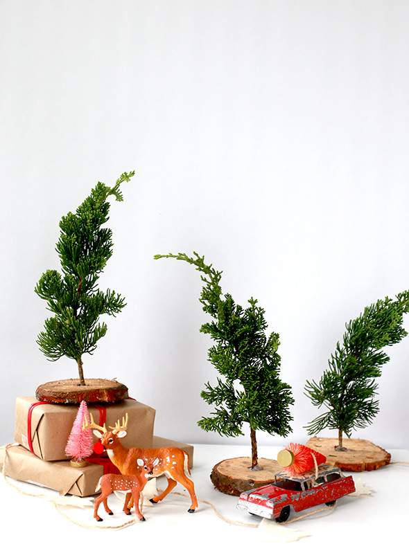 DIY Fresh Mini Christmas Trees (from Tree Lot Scraps!) Say Yes