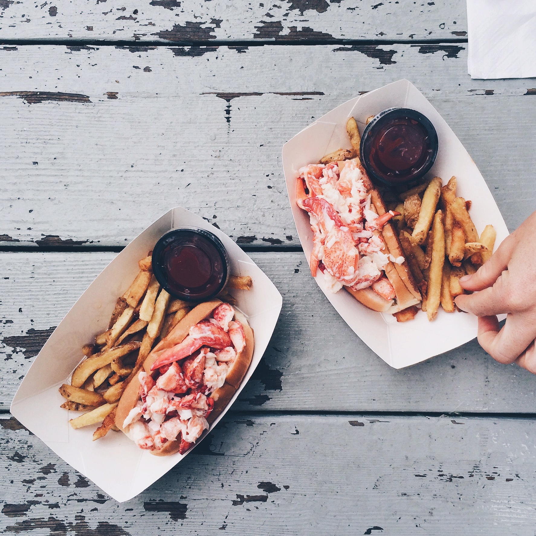 Maine Canoe Trip Report Say Yes