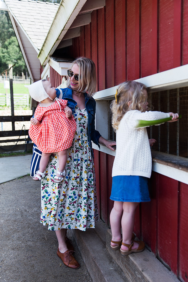 Tilden Park Little Farm Say Yes