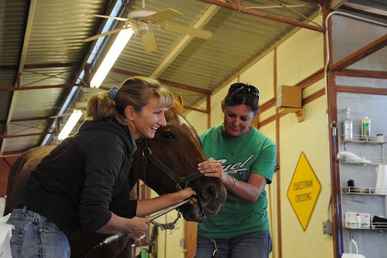 Take a Tour of Southern Arizona Equine Veterinarians in Sierra Vista