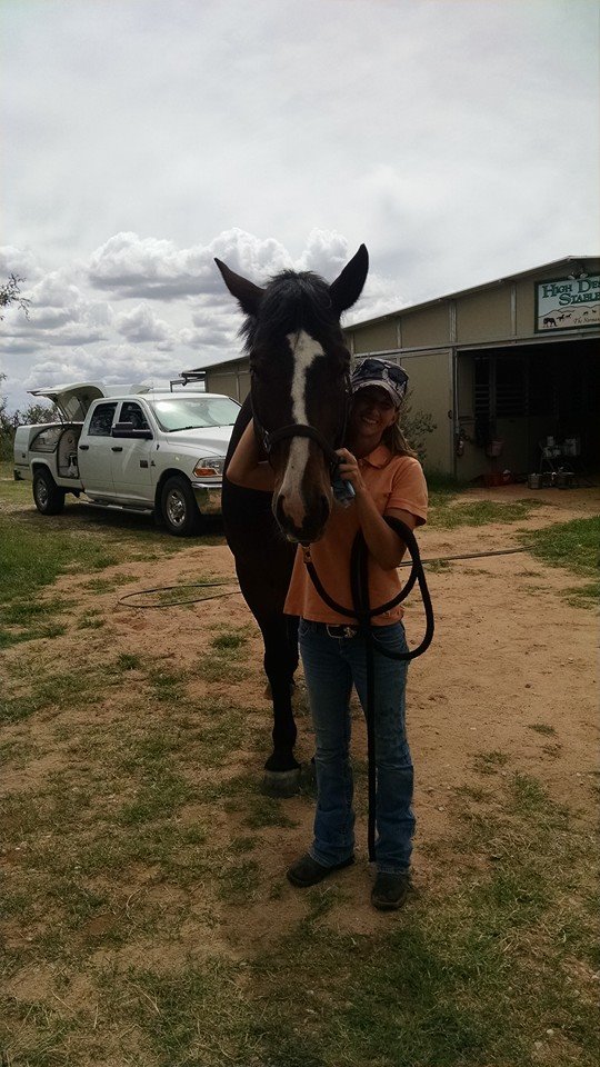 About Our Veterinary Hospital in [LOCATION] Veterinarians in Sierra