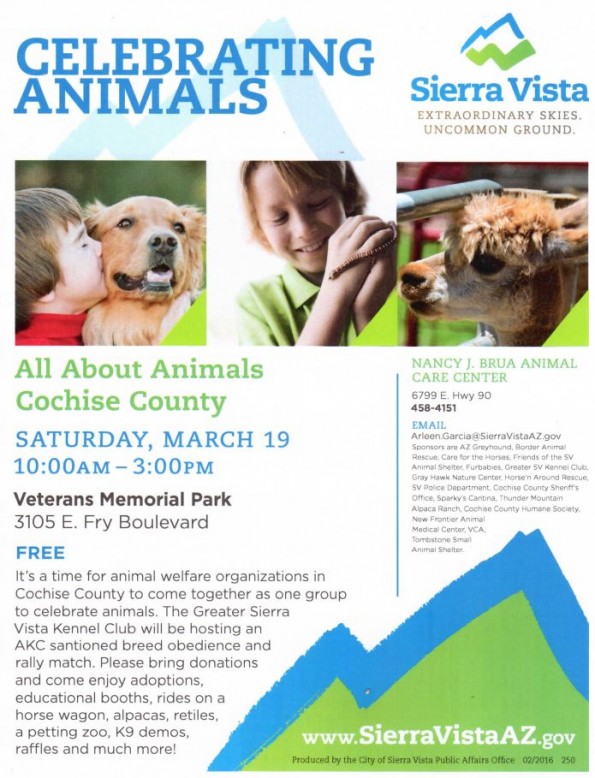 Celebrating Animals Veterinarians in Sierra Vista Southern Arizona