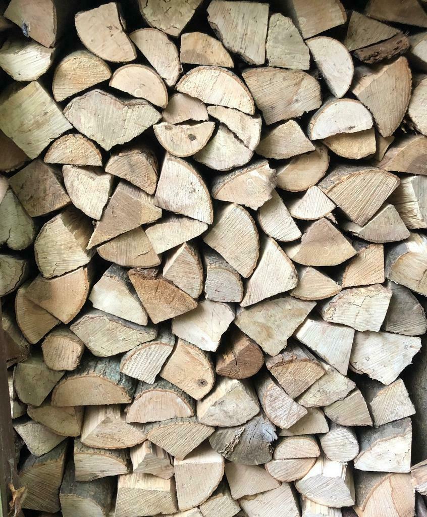 Seasoned Logs SB Stonewalling Hedgelaying