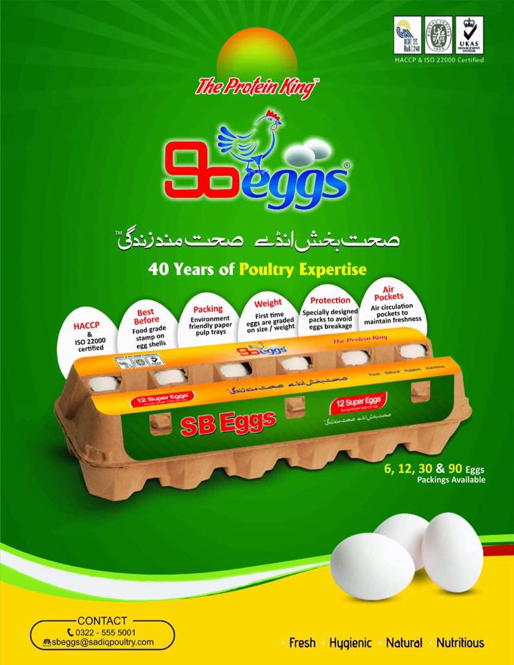 About Us Sadiq Group