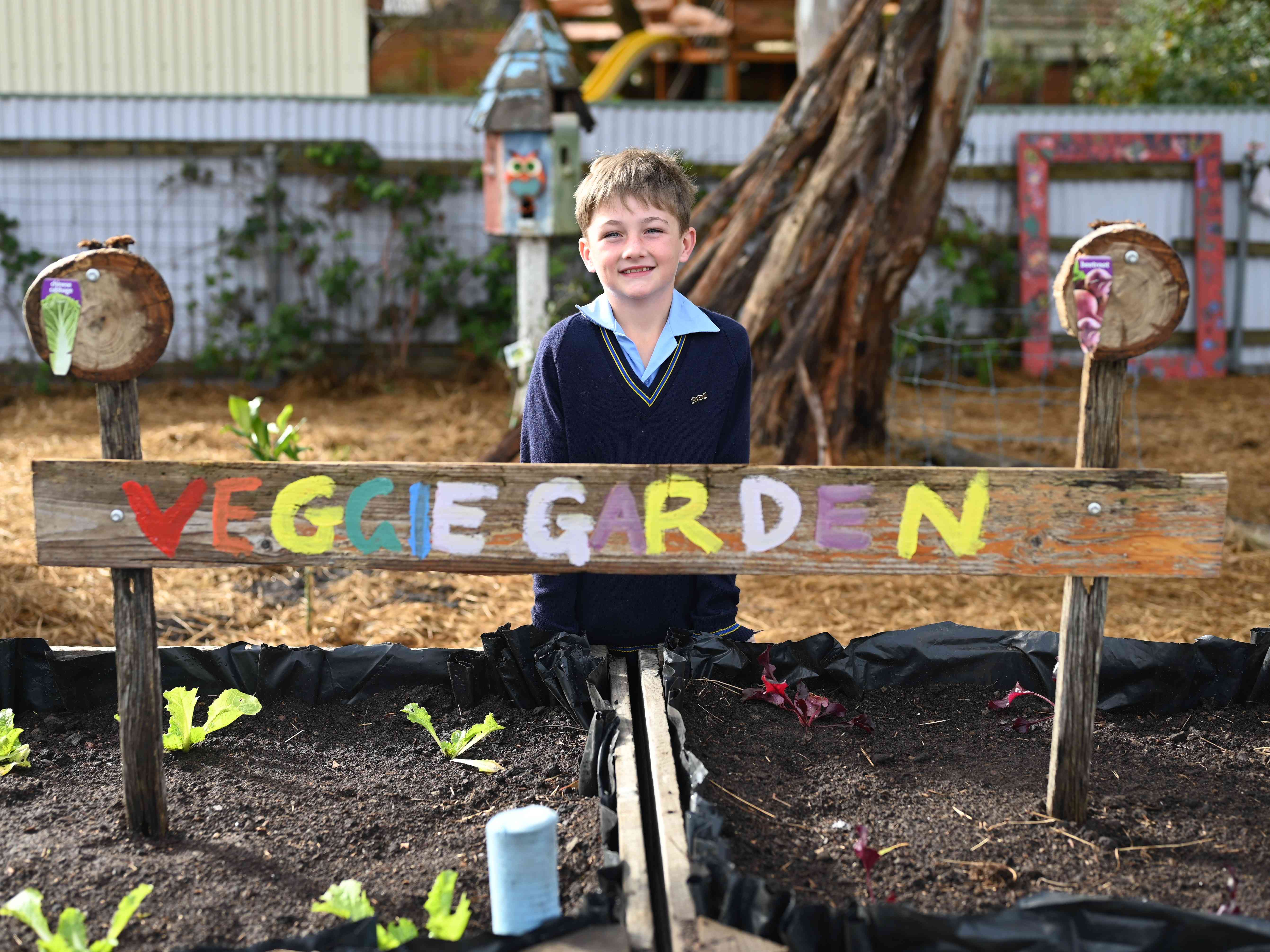 Home St Brendan's Catholic Primary School Coragulac