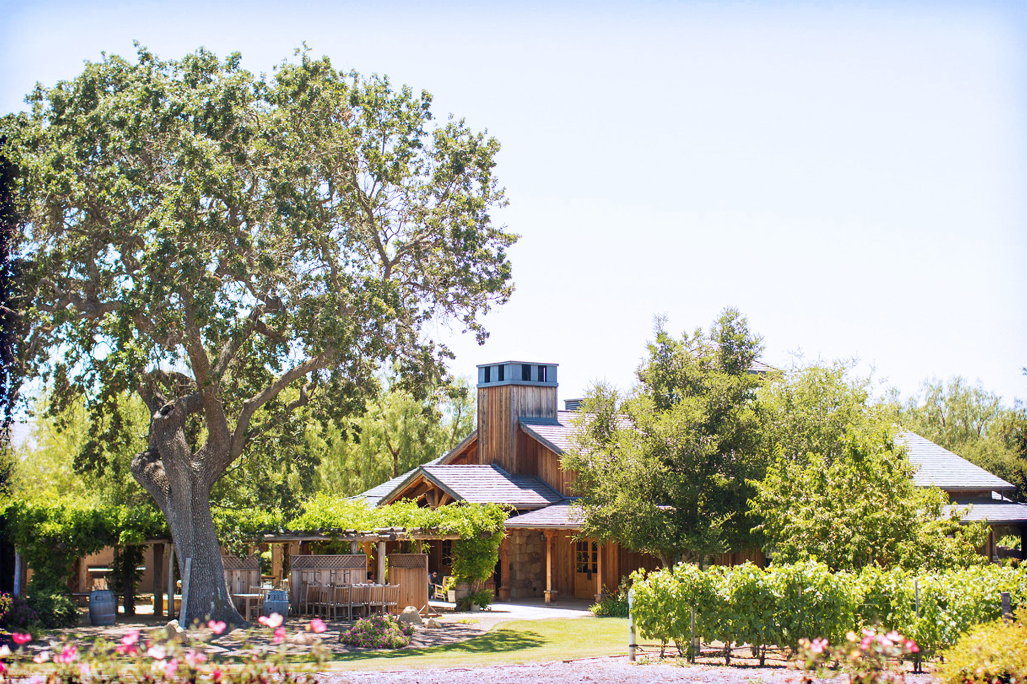 Roblar Winery & Vineyards Santa Barbara County Vintners