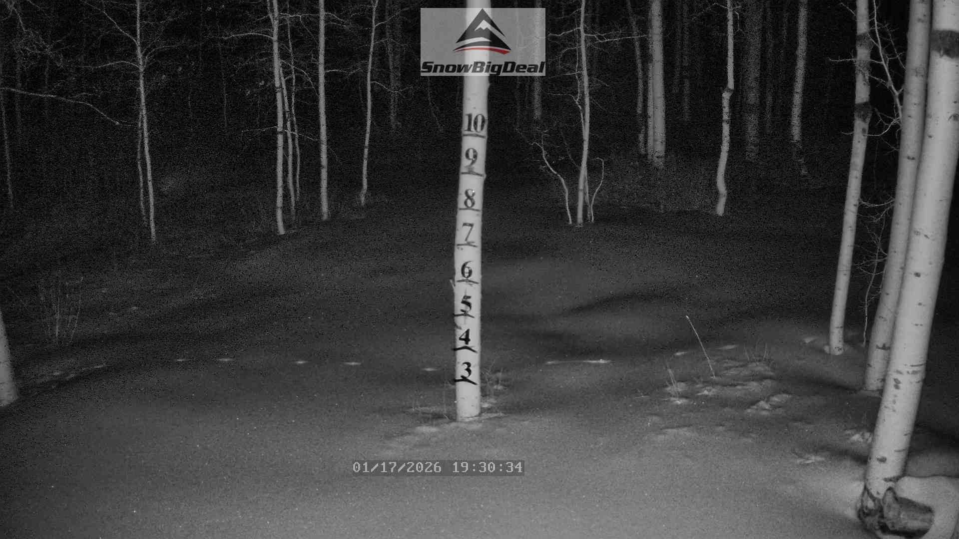 SnowBigDeal Snow Tree at Fairview Lakes