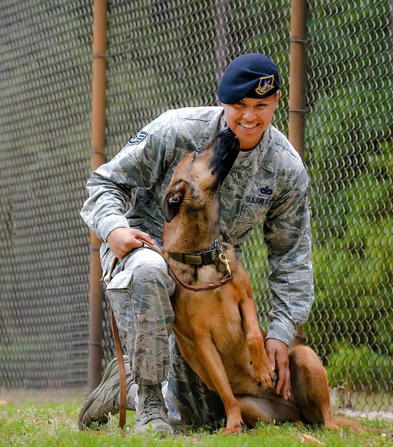 Total Dog 850 Small Business Development Center of Northwest Florida