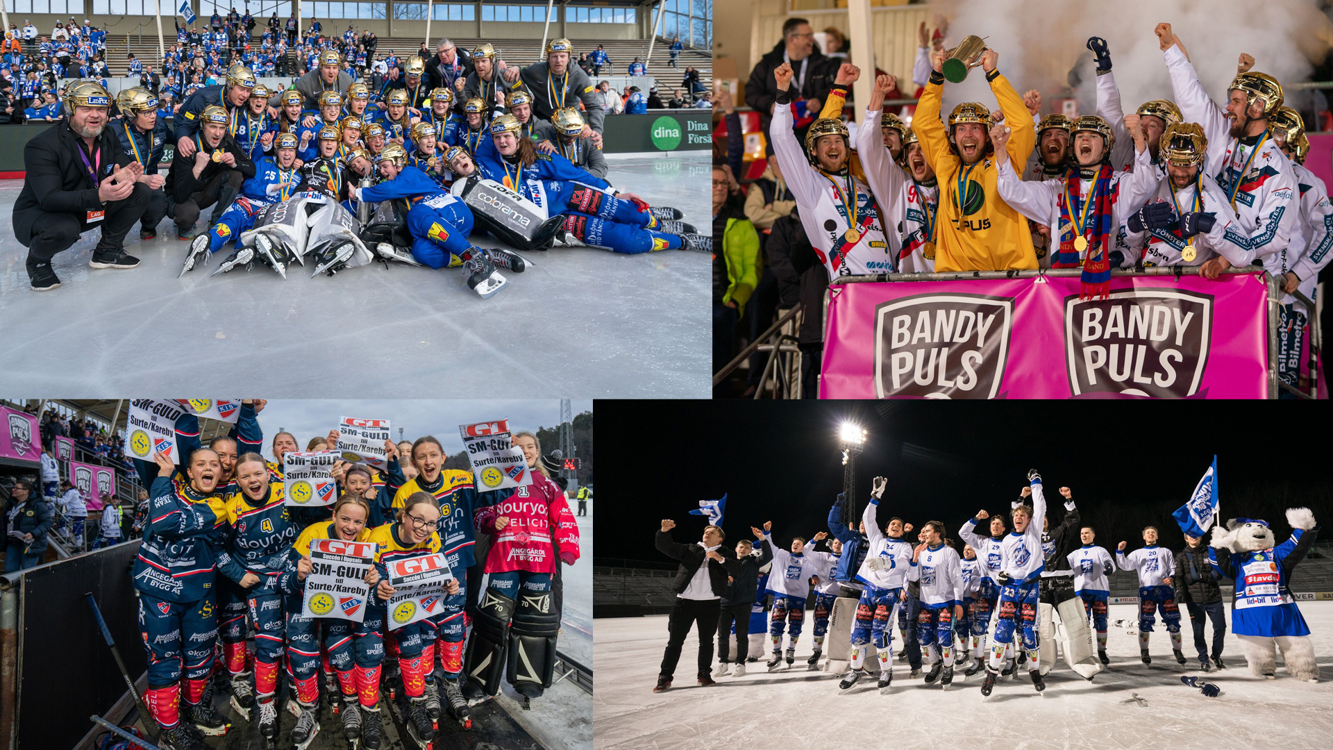 bandyfinalen 2023 Svenska Bandyförbundet - Bandyfinalen 2022