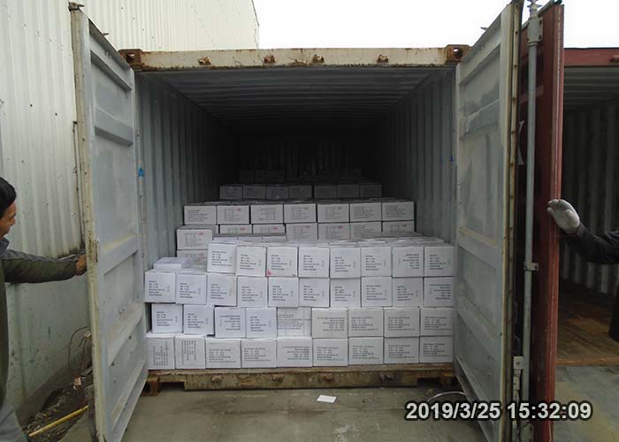 Ocean Freight From Shanghai to Port Kelang SBOTEN Int'l LogisticsSea