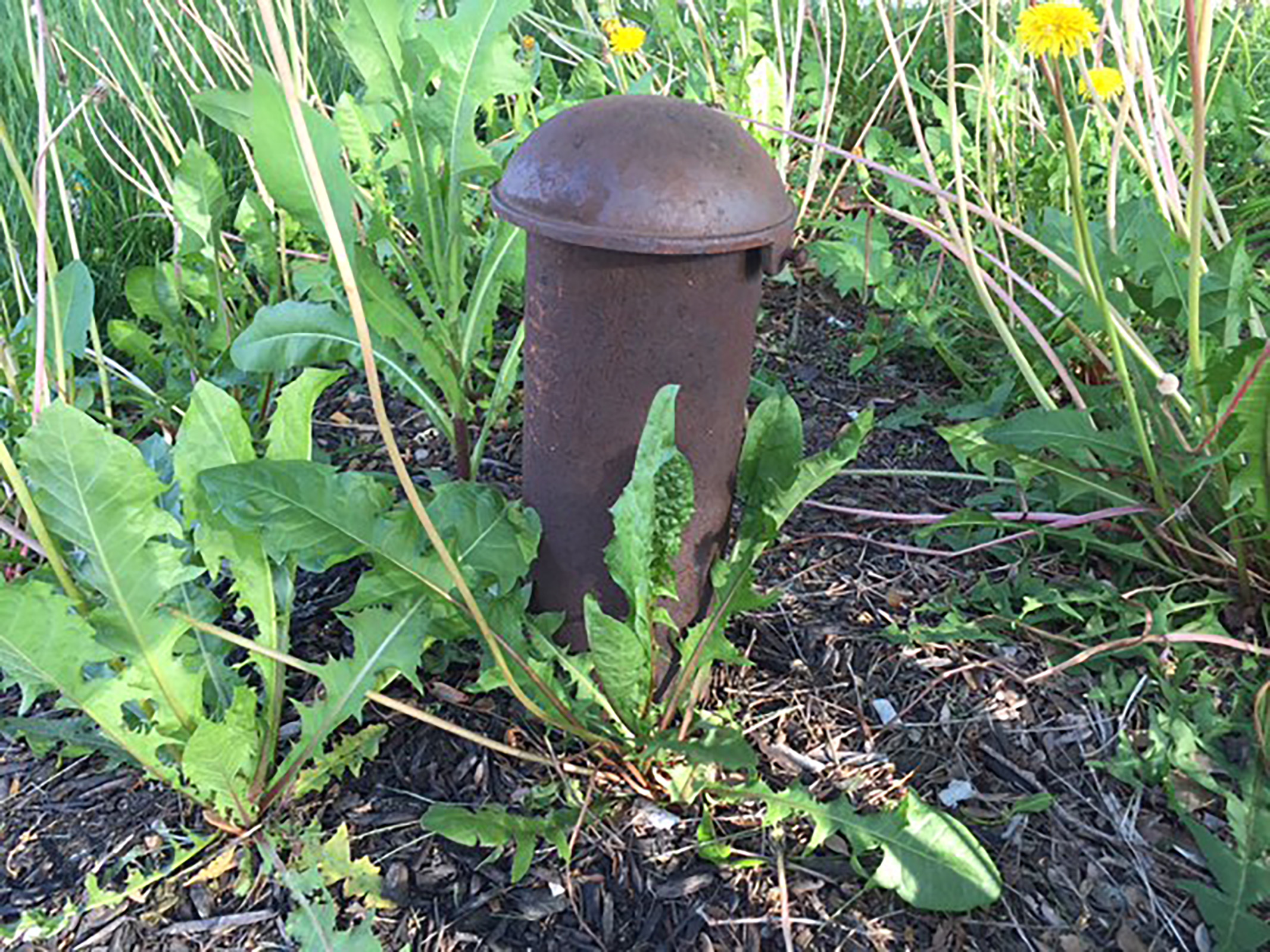 Mushroom Cap Solution Based Plumbing, Heating and A/C