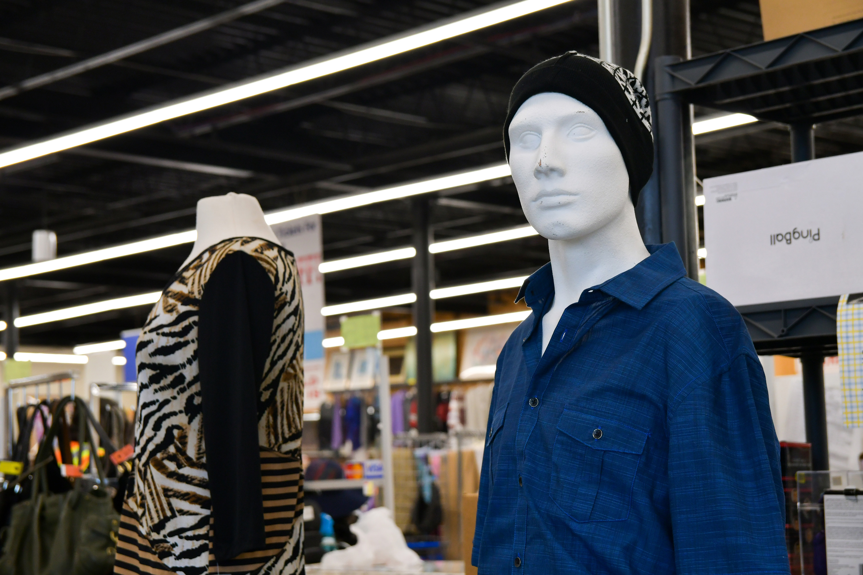 The gentrification of thrift shopping The Stony Brook Press