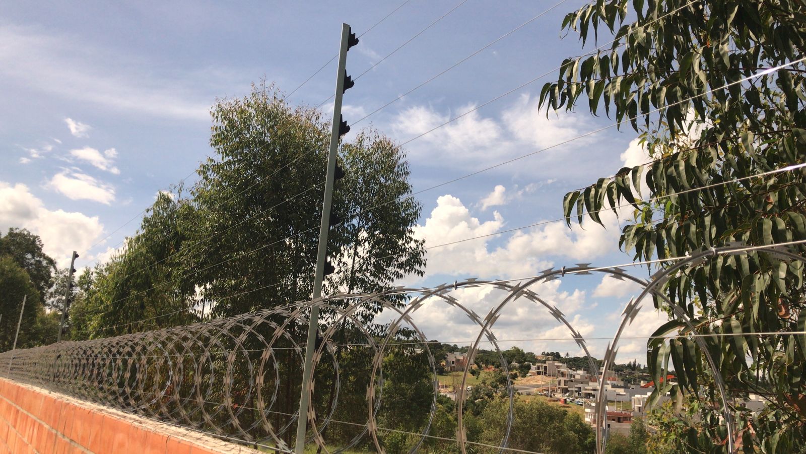 Concertina Eletrificada SBS Metal