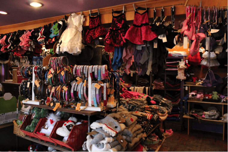 Fetch Dog Boutique and Bakery brings all dogs to heaven The Statesman