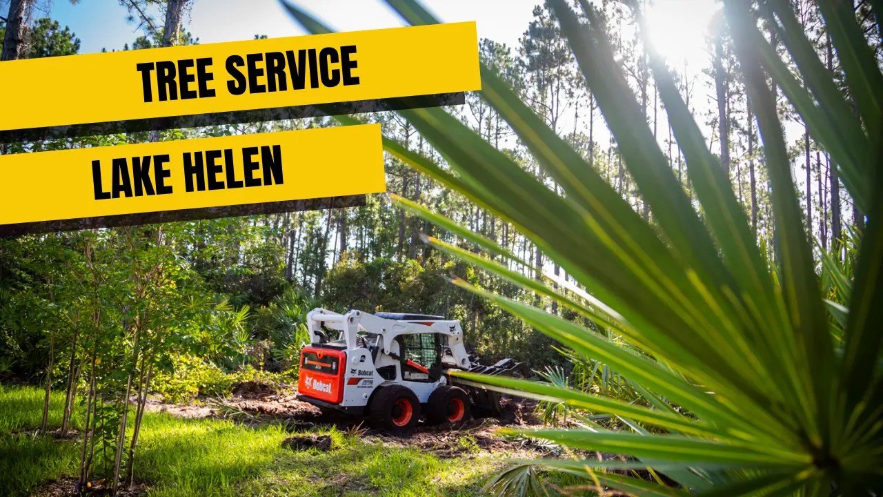 Tree Service In Lake Helen, Fl SB Tree Service