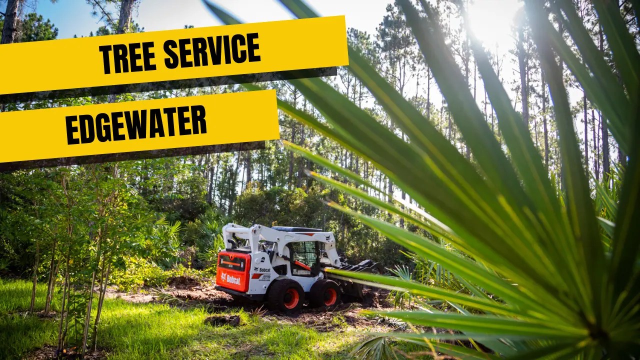 Tree Service in Edgewater, FL SB Tree Service