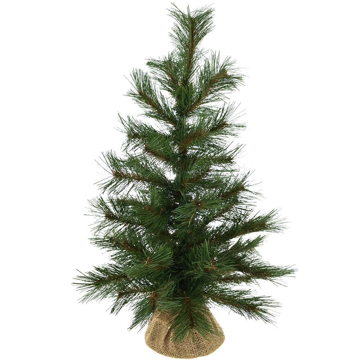 24 Inch Long Needle Pine Tree