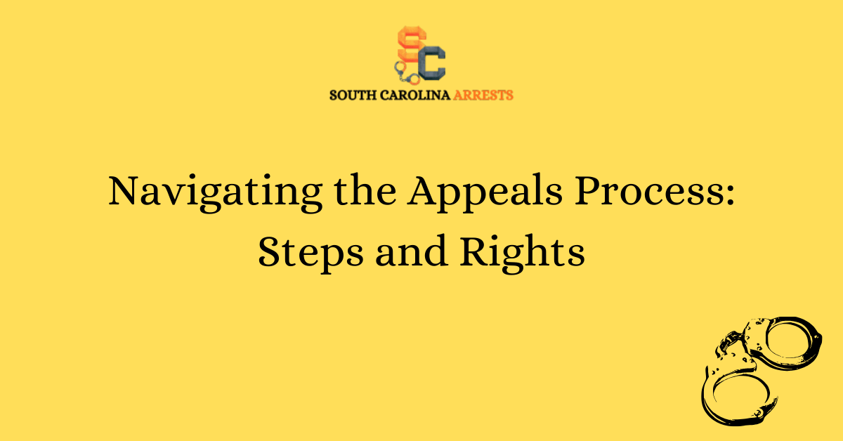Navigating the Appeals Process Steps and Rights SC