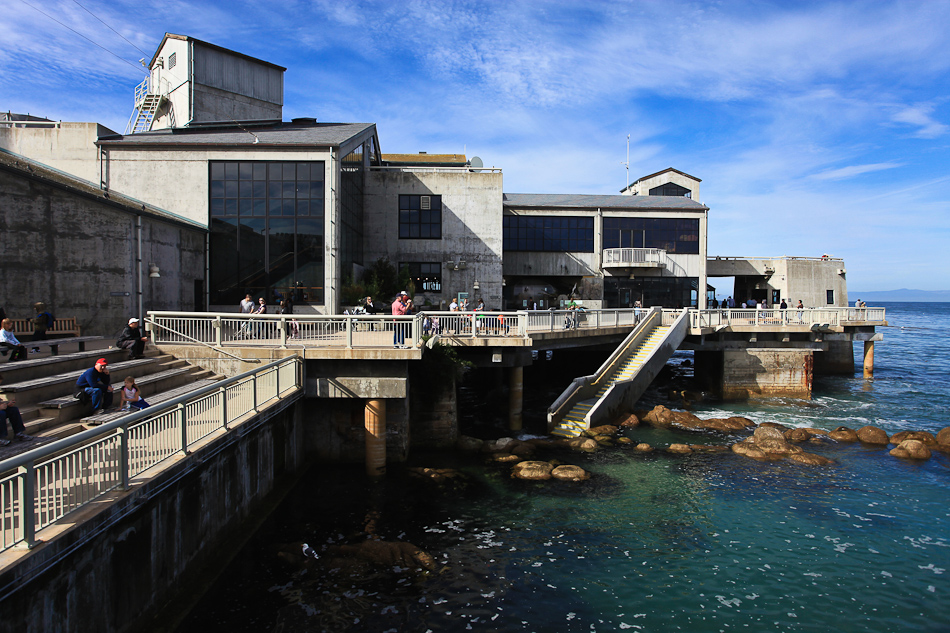 Tickets for Monterey Aquarium & Pebble Beach in Sacramento from ShowClix