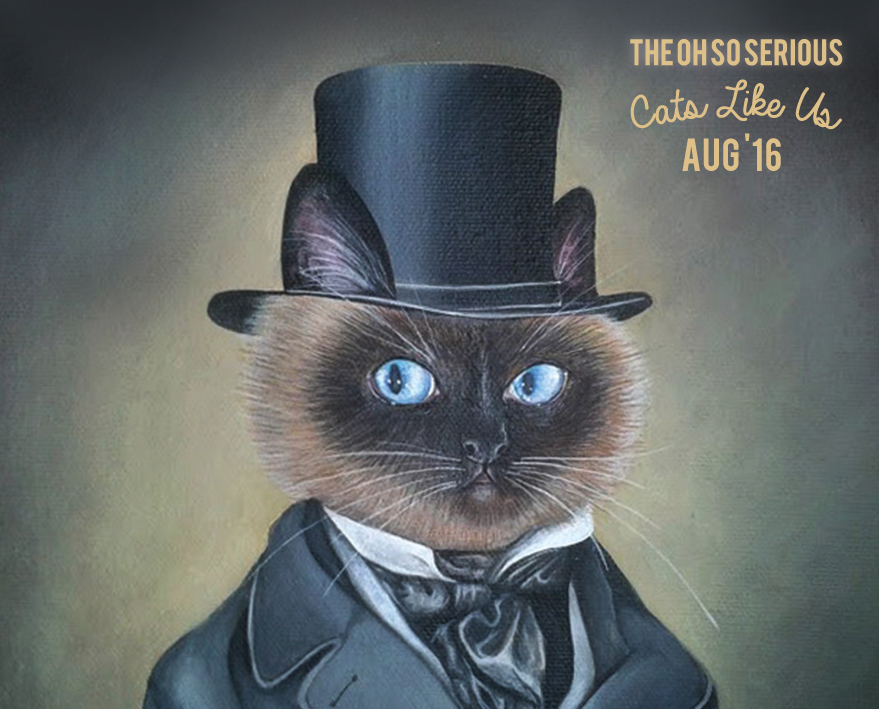 Tickets for The Oh So Serious 2016 TourCats Like Us BLAH BLAH BAR