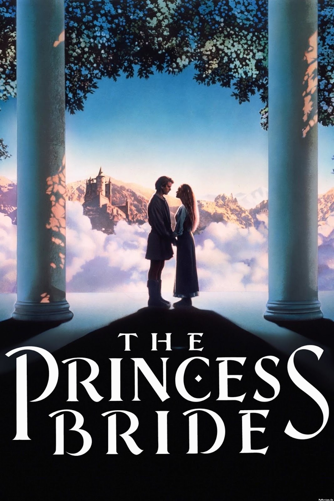 The Princess Bride: Study Guide SparkNotes
