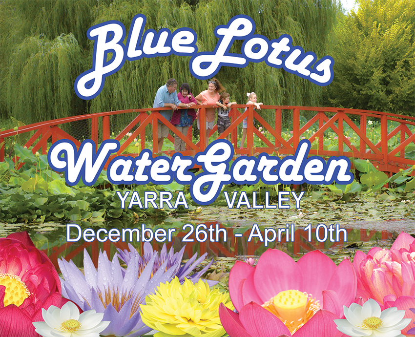 Tickets for Blue Lotus Water Garden Admission Tickets in Yarra