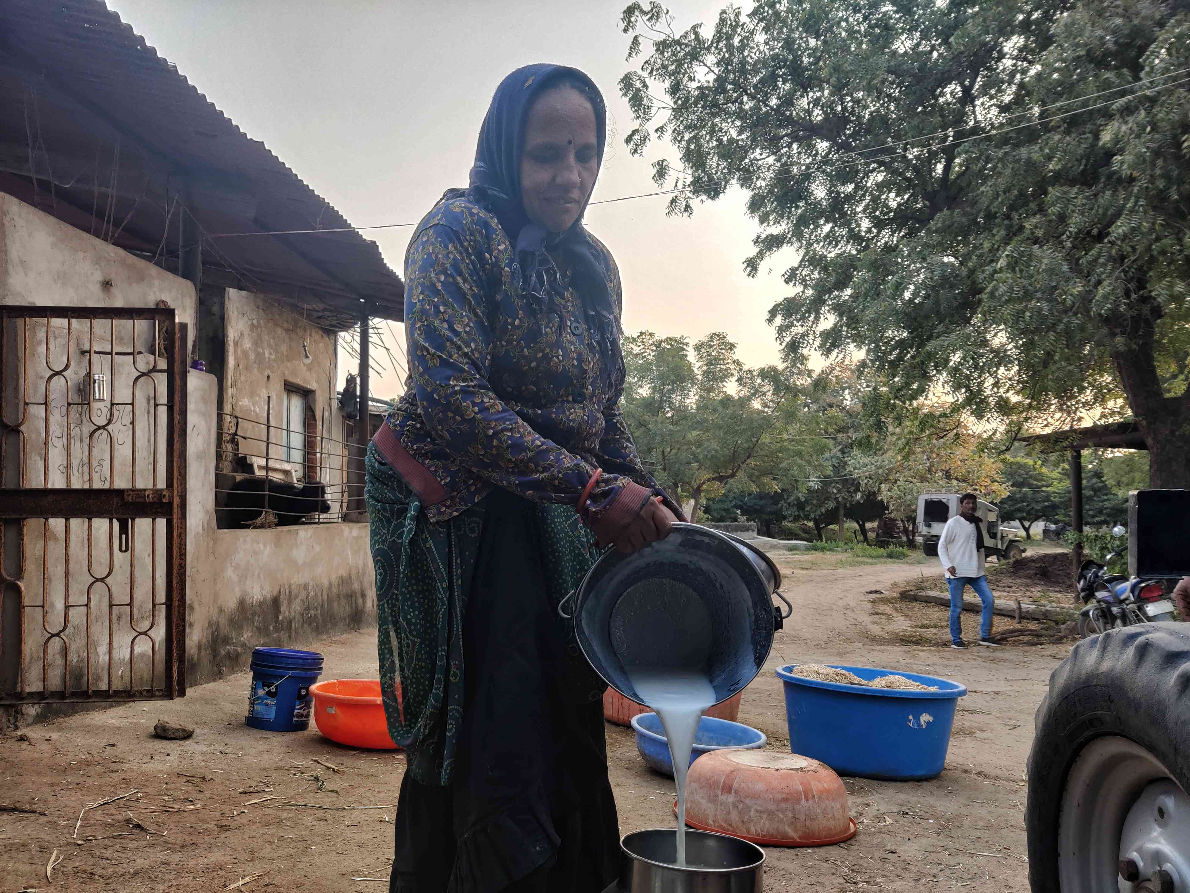 Gujarat's model dairy industry once gave the nation Amul but today is