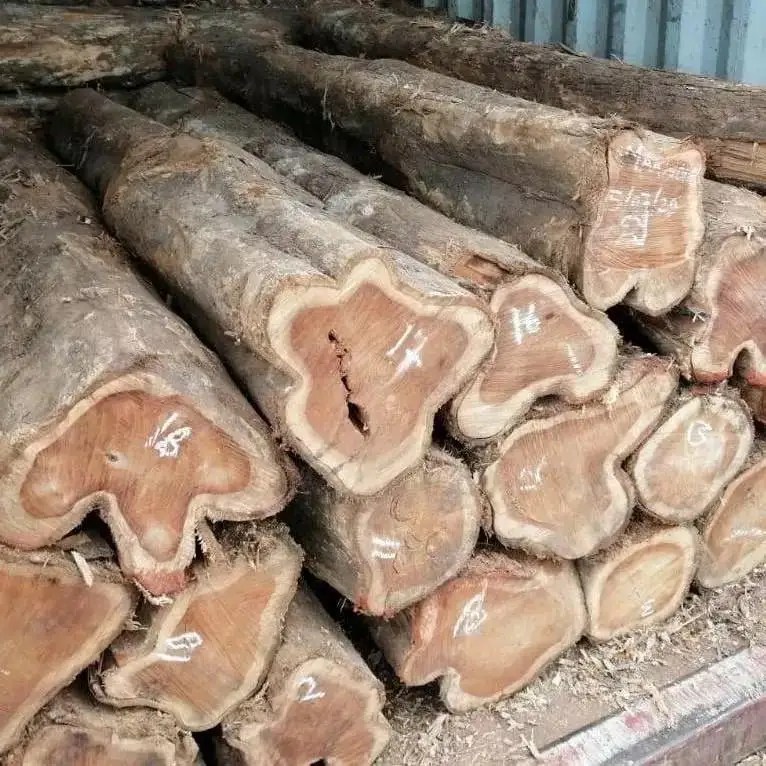 High Quality Sawn Teak Wood Pine Logs Wood For Sale Buy Siberian Pine