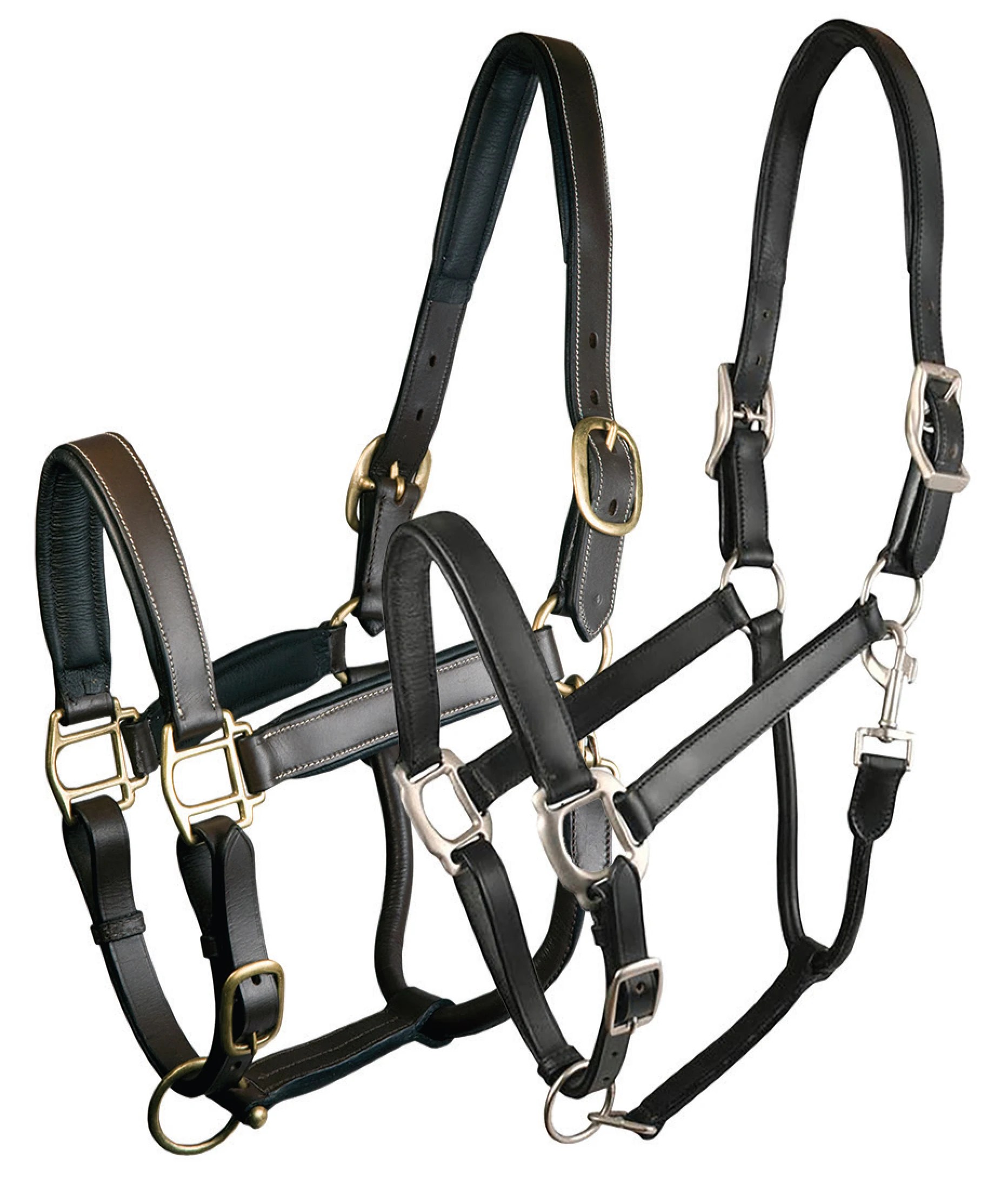 Flexible Racing Horse Bridle Western Halter Rein Waterproof Horses