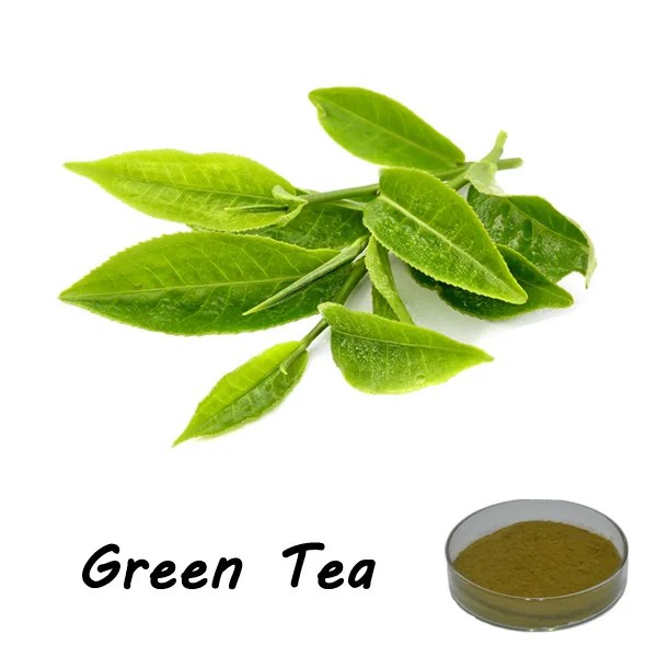 High Quality Green Tea Leaves Powder Herbal Matcha Green Tea Powder