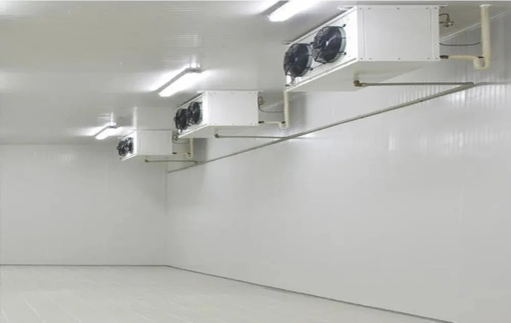 Customized Fruit Cold Storage Warehouse Cost Cold Store Machine 100