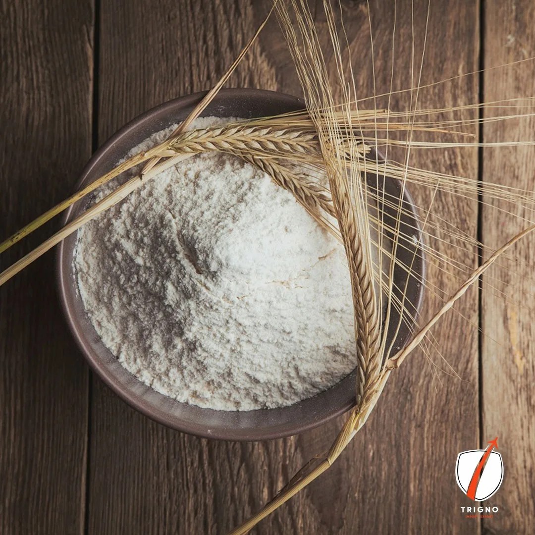 Wheat Wheat Flour Top Quality Wholesale Manufacturer From India To Our