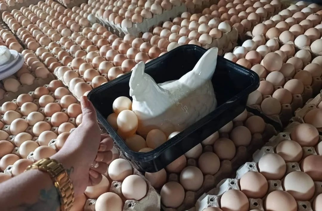 Fresh Chicken Table Eggs/fresh Chicken Hatching Eggs At Good Prices