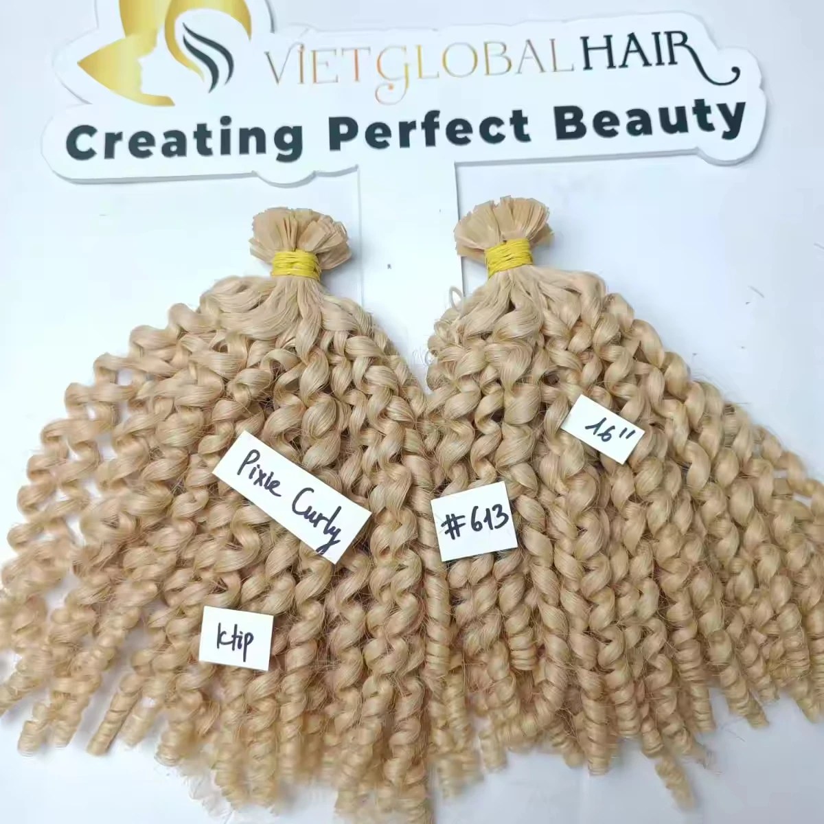 Pixie Curly Cuticle Aligned Raw Vietnamese Hair Double Drawn Ktip Human