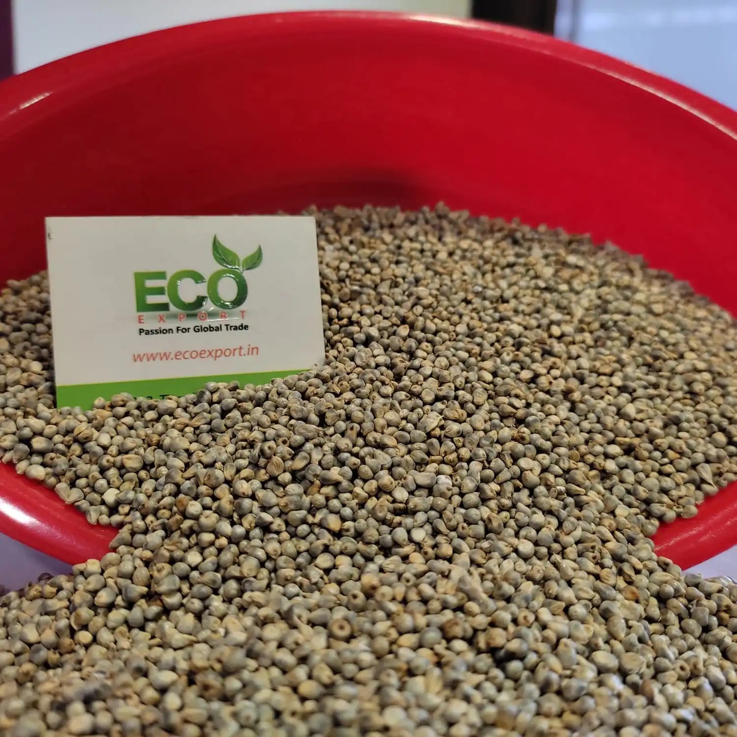 Bird Feed Green Millet Buy Best Bird Feed New Crop Millet Low Rate