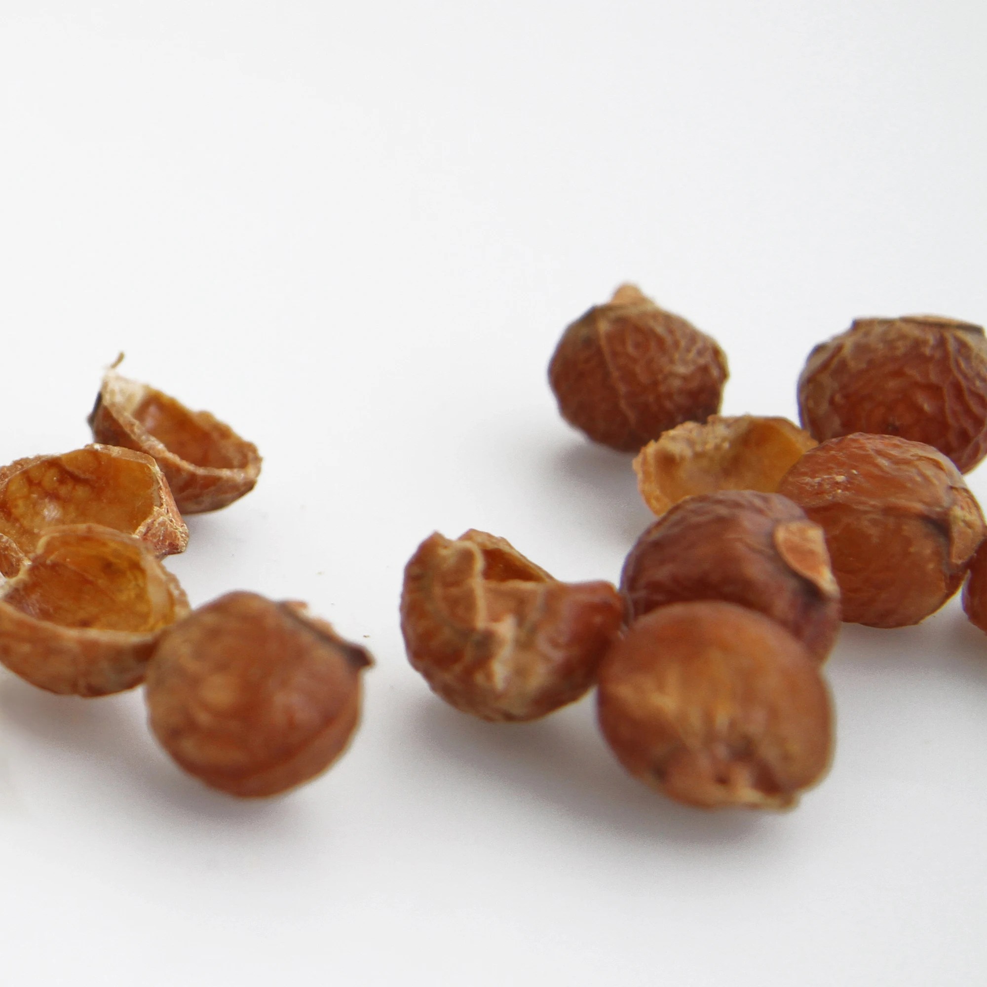 Himalayan Soap Nuts Shells Alternative Laundry Detergent And Cleaning