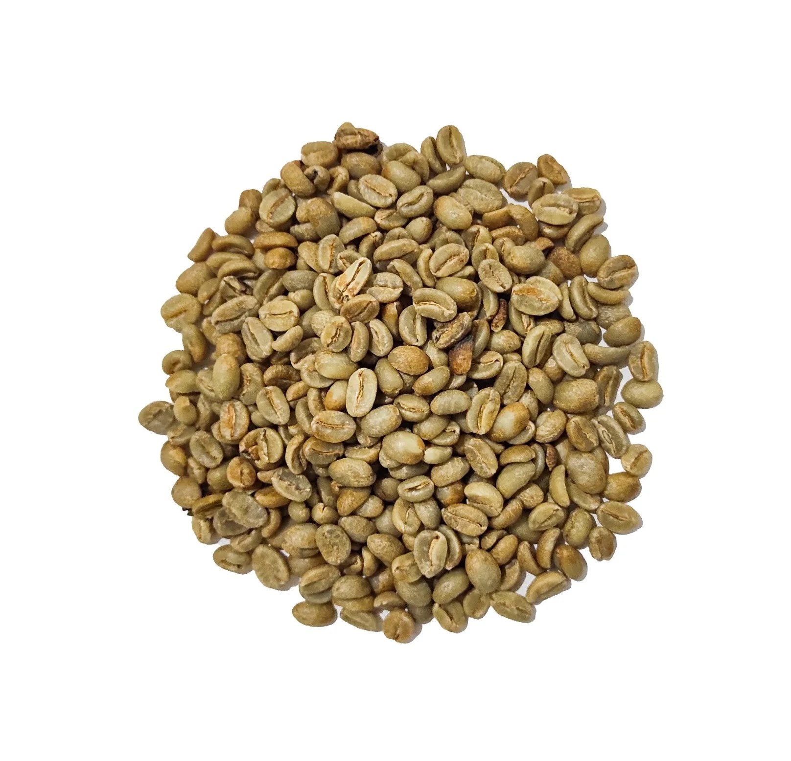 Premium Quality Geisha Green Coffee Beans Geisha Variety Arabica Coffee